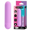 Мини вибратор Stefan (USB)